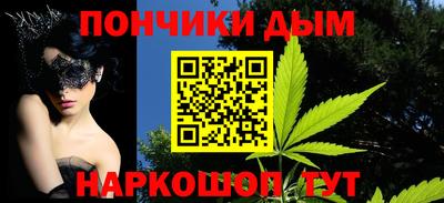 шишки Тара