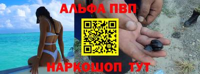 шишки Тара
