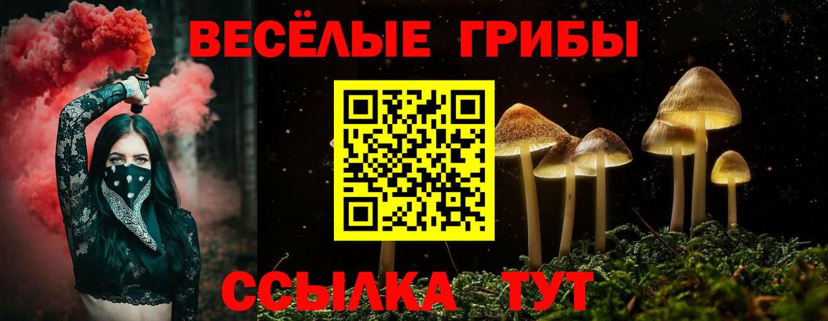 Псилоцибиновые грибы GOLDEN TEACHER  где продают наркотики  Новый Уренгой  Галлюциногенные грибы мицелий  Вход с VPN 