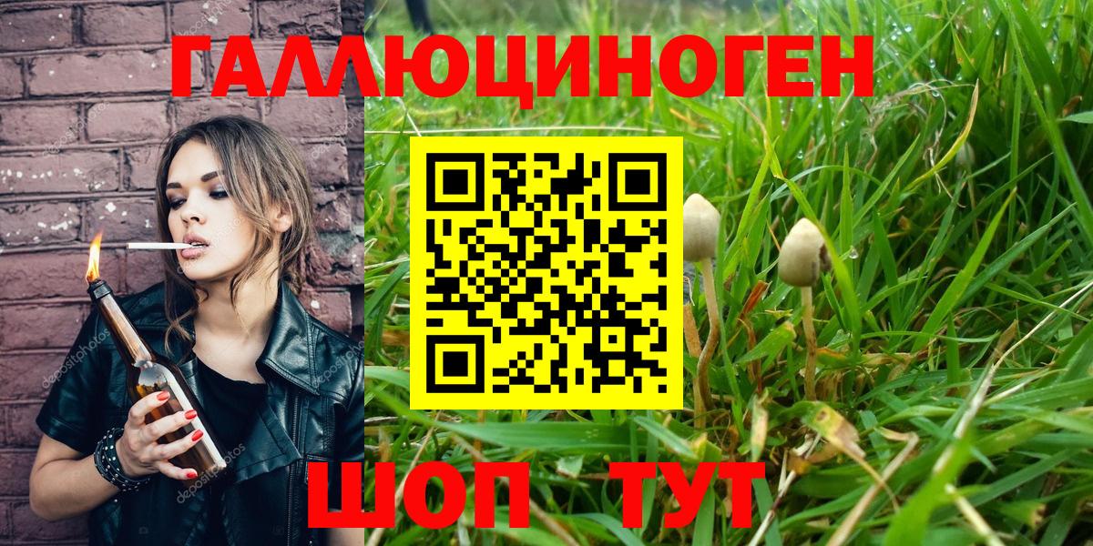 Галлюциногенные грибы Psilocybe Новый Уренгой